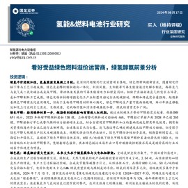 氢能源&燃料电池行业研究：看好受益绿色燃料溢价运营商，绿氢醇氨前景分析