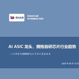 芯原股份研究报告：AIASIC龙头，拥抱自研芯片行业趋势