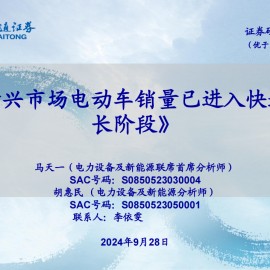 新能源汽车行业专题报告：新兴市场电动车销量已进入快速增长阶段