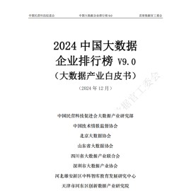 2024年中国大数据企业排行榜V9.0（大数据产业白皮书）