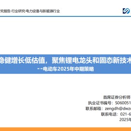 电动车行业2025年中期策略：稳健增长低估值，聚焦锂电龙头和固态新技术