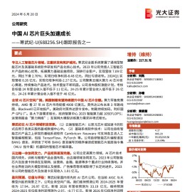 寒武纪研究报告：中国AI芯片巨头加速成长