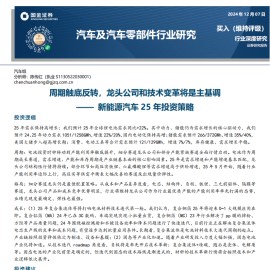 新能源汽车25年投资策略：周期触底反转，龙头公司和技术变革将是主基调