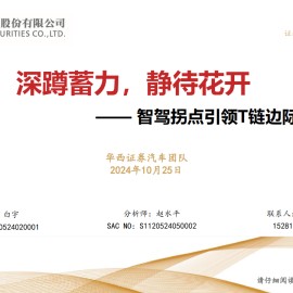 汽车行业专题报告：智驾拐点引领T链边际变化，深蹲蓄力，静待花开