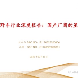 休闲越野车行业深度报告：国产厂商的星辰大海