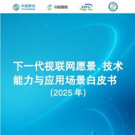 下一代视联网愿景、技术能力与应用场景白皮书（2025年）