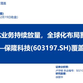 保隆科技研究报告：智能化业务持续放量，全球化布局蓄力深蹲