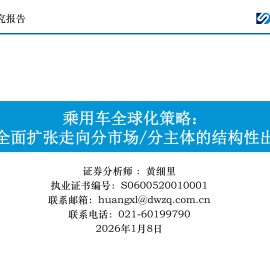乘用车行业全球化策略：从全面扩张走向分市场分主体的结构性出海