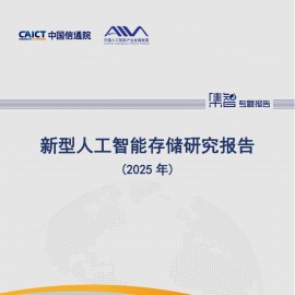 新型人工智能存储行业研究报告（2025年）