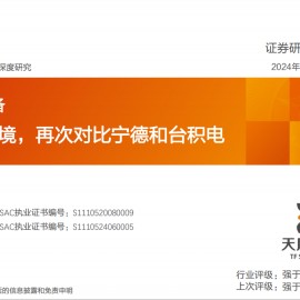 锂电池行业专题研究：千帆过境，再次对比宁德和台积电