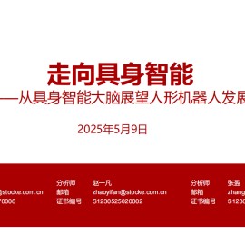 具身机器人行业分析：走向具身智能——从具身智能大脑展望人形机器人发展