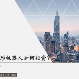 汽车行业分析：下一阶段人形机器人如何投资？