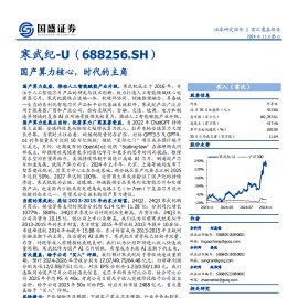 寒武纪分析报告：国产算力核心，时代的主角
