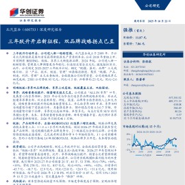 北汽蓝谷研究报告：三年跃升开启新征程，双品牌战略拐点已至