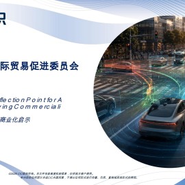 灼识咨询-自动驾驶行业蓝色文件：城市导航点自动驾驶商业化启示