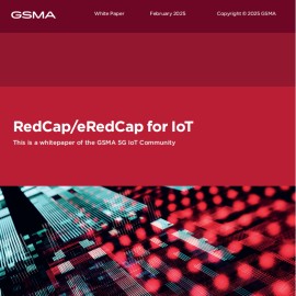 2025 RedCap和eRedCap技术在物联网中的应用白皮书（英文）