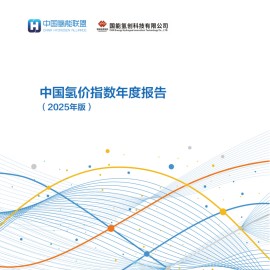 中国氢能联盟研究院：中国氢价指数年度报告 （2025年版）