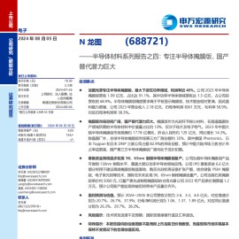 N龙图研究报告：专注半导体掩膜版，国产替代潜力巨大
