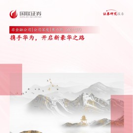 赛力斯研究报告：携手华为，开启新豪华之路