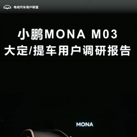 小鹏MONA M03大定提车用户调研报告
