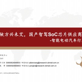 智能电动汽车行业深度报告：智能驾驶方兴未艾，国产智驾SoC芯片供应商突围在即