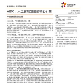 AIDC专题报告：AIDC，人工智能发展的核心引擎