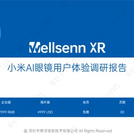 wellsenn 小米AI眼镜用户体验调研报告