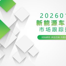 新能源车行业市场跟踪报告