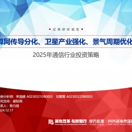 2025年通信行业投资策略：算网传导分化、卫星产业强化、景气周期优化