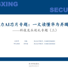 国产算力AI芯片专题：一文读懂华为昇腾310芯片