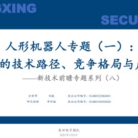 人形机器人行业专题报告：传感器的技术路径、竞争格局与产业重构