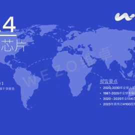 2024全球AI芯片行业