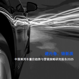 中国乘用车量价趋势与营销策略研究报告2025