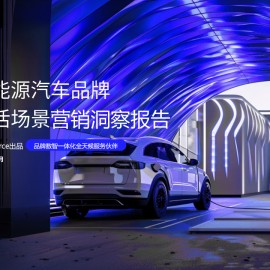 新能源汽车品牌生活场景营销洞察报告