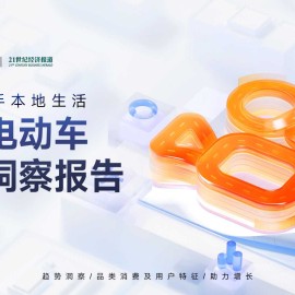 两轮电动车行业洞察报告