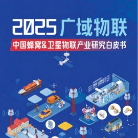 2025年广域物联：中国蜂窝&卫星物联产业研究白皮书