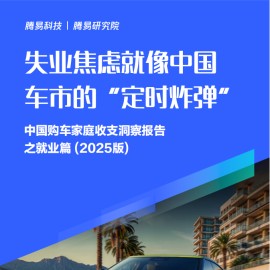 失业焦虑就像中国车市的“定时炸弹”：中国购车家庭收支洞察报告之就业篇（2025版）