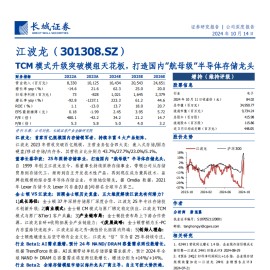 江波龙研究报告：TCM模式升级突破模组天花板，打造国内”航母级”半导体存储龙头