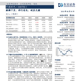 宁德时代研究报告：麒麟千里，神行逐电，破浪无疆