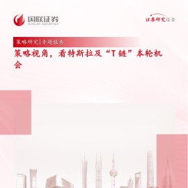 汽车行业专题报告：策略视角，看特斯拉及“T链”本轮机会