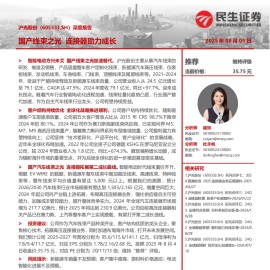 沪光股份研究报告：国产线束之光，连接器助力成长