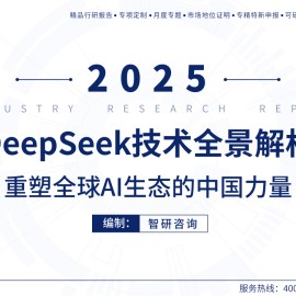 2025年deepseek技术全景解析：重塑全球AI生态的中国力量