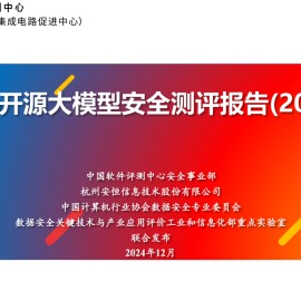 Top开源大模型安全测评报告（2024）