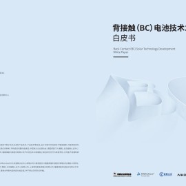 2025年背接触（BC）电池技术发展白皮书