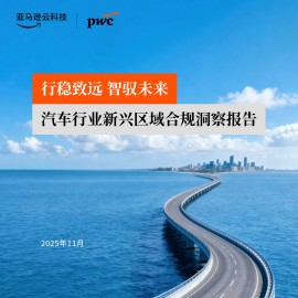 普华永道：2025汽车行业新兴区域合规洞察报告