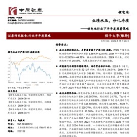 锂电池行业下半年度投资策略：业绩承压，分化持续