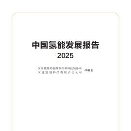 国家能源局：中国氢能发展报告2025