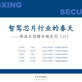 智能驾驶芯片行业专题报告：智驾芯片行业的春天