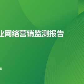 2025年汽车行业网络营销监测报告