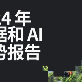 2024年数据和AI趋势报告